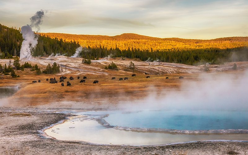 yellowstone.jpg